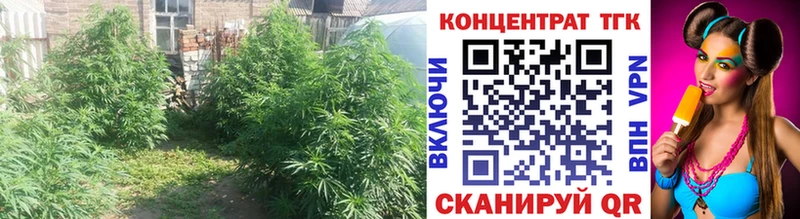 OMG как зайти  Грайворон  Дистиллят ТГК вейп 