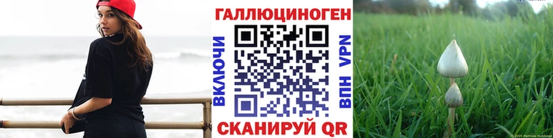 Галлюциногенные грибы Cubensis  МЕГА зеркало  Грайворон  закладки 